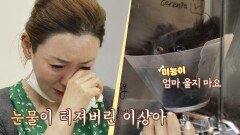 미뇽이 '소뇌 탈출증' 진단에 눈물 터져버린 이상아T^T