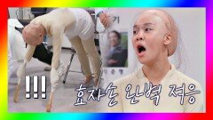 (이게 뭐람ㅋㅋ) 효자손 완벽 적응한 '랄랄'의 신개념 엎드려뻗쳐↗ | JTBC 201121 방송