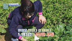 일할수록 커지는 통증 무릎 건강 망치는 전원생활 | JTBC 241118 방송