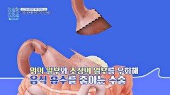 체중 감량을 위해 '위 우회 수술'을 두 번이나 받은 축구의 신 | JTBC 251020 방송