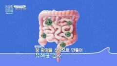 다이어트에 필수 장 건강 확실하게 바꾸는 방법 | JTBC 260105 방송