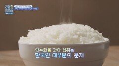 한국인이 다이어트에 실패하는 이유 = 탄수화물 과다 섭취 | JTBC 260330 방송