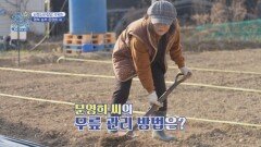 퇴행성관절염을 극복하고 건강을 되찾은 비결 공개️ | JTBC 260413 방송