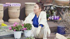 꽃밭 가꾸다 싸움 위기?! 꽃미녀 배우 '김청' 모녀의 일상 | JTBC 240423 방송