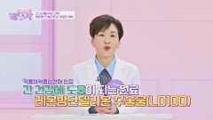 간 건강을 책임지는 '레몬밤단델리온 추출물'이란~? | JTBC 241217 방송