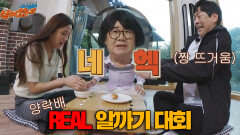 최양락배 REAL 알까기 대회⚡️ 뜨거운 승부의 결과는?!(네헥↗) | JTBC 201005 방송