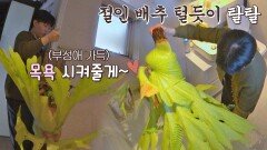 갬성에 부성애 한 스푼💖 반려 식물🌱들 목욕시키는 찬혁 | JTBC 210517 방송
