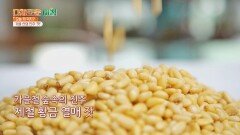 각종 요리 재료, 약용 등 다양하게 활용할 수 있는 '잣' | JTBC 211026 방송