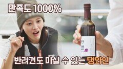 강아지도 와인을?! 반려견과 함께 즐길 수 있는 댕와인 | JTBC 211011 방송