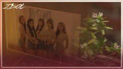 코튼캔디 팬들로부터 온 응원 영상 ＂맞네.. 모두 다 꽃이지＂ | JTBC 211214 방송