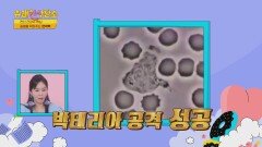 박테리아를 잡아먹는 면역 세포의 기능이 약해진다면?! | JTBC 220531 방송