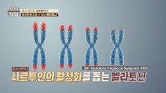 '장수 유전자' 활성을 돕고 수명을 연장시키는 '멜라토닌' | JTBC 240330 방송