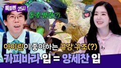 ＂앞니는 나랑 비슷한데＂ 양세찬 같은(?) 카피바라 셀러리 먹방 | JTBC 260413 방송