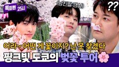 새로운 남친 짤 갱신! MZ들의 벚꽃 인증샷 따라잡기 | JTBC 260518 방송