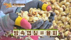 공주 사람들의 동안 비법?! 알맹이보다 더 귀한 밤 속껍질 = 율피 | JTBC 220422 방송