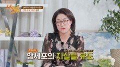 바다의 산삼 '전복'이 암세포의 자살을 유도한다?! | JTBC 220506 방송