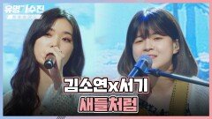 옛 감성 그대로️ 다시 뭉친 페어리즈 김소연x서기 〈새들처럼〉 | JTBC 220715 방송