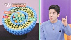 면역력 키워주는 「리포좀 멀티비타민」 속 파워 사총사! | JTBC 240428 방송
