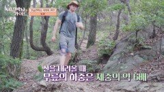 무릎 건강에 독을 부른다 연골연화증을 가져온 등산?! | JTBC 241006 방송