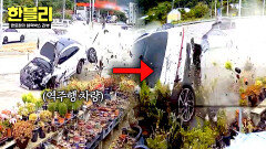 역주행 돌진 농원 초토화… 피해액만 1억 2천만 원?! | JTBC 260225 방송