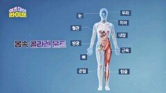 머리부터 발끝까지 있는 몸의 기둥 '콜라겐' | JTBC 230308 방송