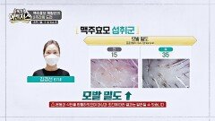 튼튼한 모발 관리의 치트키! 맥주 효모의 놀라운 변화 | JTBC 251108 방송