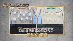 먹으면서 다이어트는 불가능할까? 근육량과 장 건강에 도움을 주는 ‘이것’의 정체 | JTBC 260110 방송