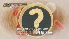 지방이 지방을 태운다? 체중 관리의 성공 비결 | JTBC 260418 방송