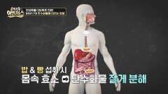 탄수화물을 잘게 분해? 「BNR17」이 우리 몸에 미치는 영향! | JTBC 260530 방송