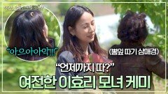 (환상의 모녀 케미) 뽕잎 따느라 바쁜 엄마와 본인만의 해소 방법을 터득한 이효리 | JTBC 240707 방송