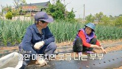 농사짓는 팔순 노부부, 결혼 60년 차에도 사랑스러운 아내🥰 | JTBC 240601 방송