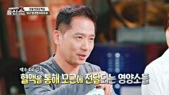 탈모 예방 첫걸음 → 모근 강화! '맥주 효모'로 모근 영양 챙기자 | JTBC 240708 방송