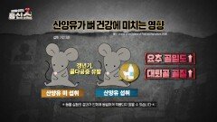 근육&뼈 건강 모두 지키고 골절 위험에서 벗어나는 특별 비법 | JTBC 240819 방송