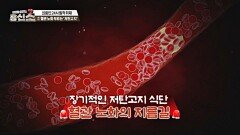 살 빠진다 해서 먹었는데 혈관 노화 부르는 '저탄고지' 식단 | JTBC 241111 방송