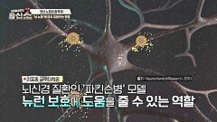 '리포좀 글루타치온'  혈당 건강부터 뇌 건강 관리까지?! | JTBC 241111 방송