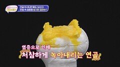 연골이 파괴되면 뼈도 녹는다! 관절 속 염증을 방치한 결과는?! | JTBC 241112 방송