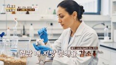 혈관 속 청소부🧹 간의 해독을 돕는 '알부민'의 기능 | JTBC 260122 방송