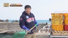 푸른 피의 사나이 양준혁의 방어 양식장 대공개 | JTBC 260409 방송
