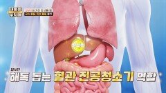혈관 진공청소기🧹 알부민으로 고위험군 질병을 예방하자!️ | JTBC 260409 방송