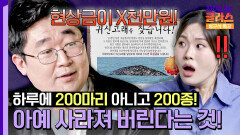 하루에만 멸종되는 개체 XXX종?! 하나만 찾아도 현상금이 X천만원?! | JTBC 250726 방송