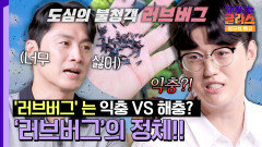 곤충학자가 시원하게 말아주는 정의! '러브버그'는 '불쾌해충'이다!! | JTBC 250726 방송