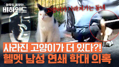 ※긴급 제보※ 단순 사건이 아니었다(!) 사라진 고양이들이 더 있다?! | JTBC 250923 방송