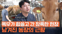 250마리 중 60여 마리 폐사... 폭우가 휩쓸고 간 농장의 근황 | JTBC 250923 방송