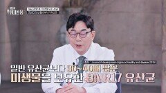 요요도 막고 근육까지 챙긴다! 'BNR17 유산균'으로 중년 다이어트 해결↗ | JTBC 251206 방송