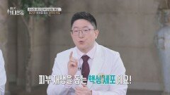 콜라겐 부족이 부르는 몸의 신호? 콜라겐 생성 돕는 핵심은...🤫 | JTBC 260228 방송