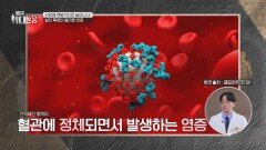 점점 더워지는 요즘️ 목마르다고 커피, 음료 마시면 염증 폭발🤯 | JTBC 260530 방송
