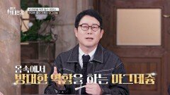 '이것'이 부족하면 암에 생긴다?! 암을 예방할 열쇠의 정체 | JTBC 260606 방송