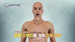폭주하는 혈당 잡기↗ 체질을 개선해 주는 혈당유산균 HAC01 | JTBC 251124 방송