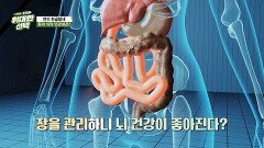 치매의 원인이 뇌가 아니라고?! 의외의 열쇠 ‘장 건강’ | JTBC 260124 방송
