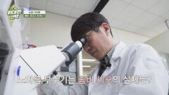 분열 능력과 활동성이 낮다?! 역노화의 핵심 = 좀비 세포 관리 | JTBC 260314 방송